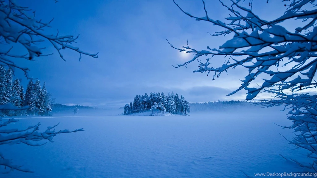 Unbelievably Beautiful Winter Scene   (