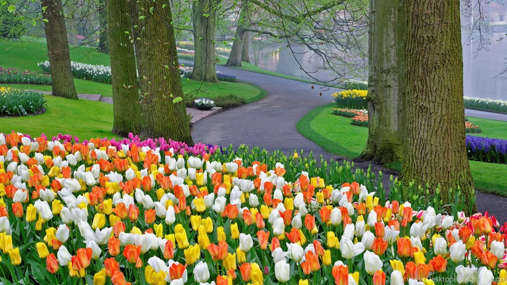 Nature Wallpapers 020, Free Desktop Wallpapers, Cool Wallpapers