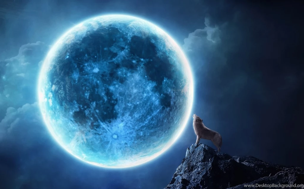 1280x800 Howling Wolf Full Moon Wallpapers