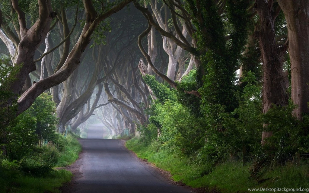 Irish Road 1280 X 800 Widescreen Wallpapers