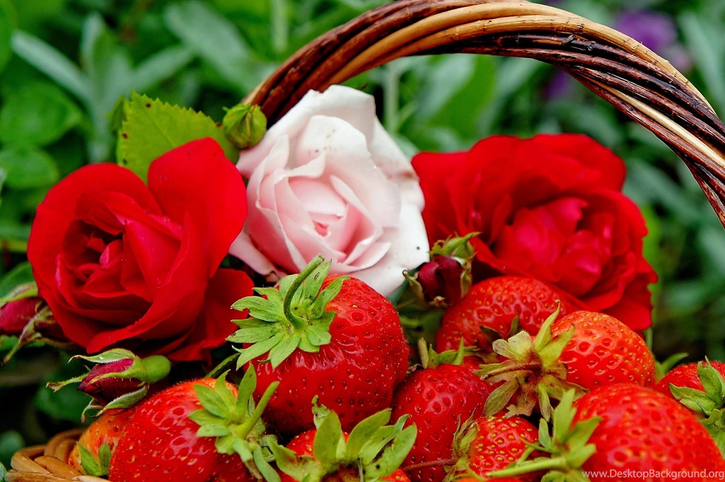 324 Strawberry HD Wallpapers