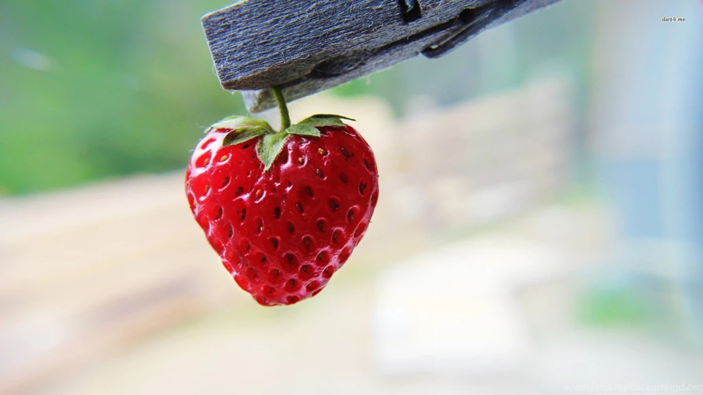 Strawberry Wallpapers