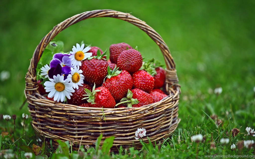 324 Strawberry HD Wallpapers