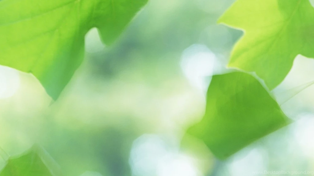 Download Wallpapers 2560x1440 Leaves, Blur, Light Mac iMac 27 HD ...