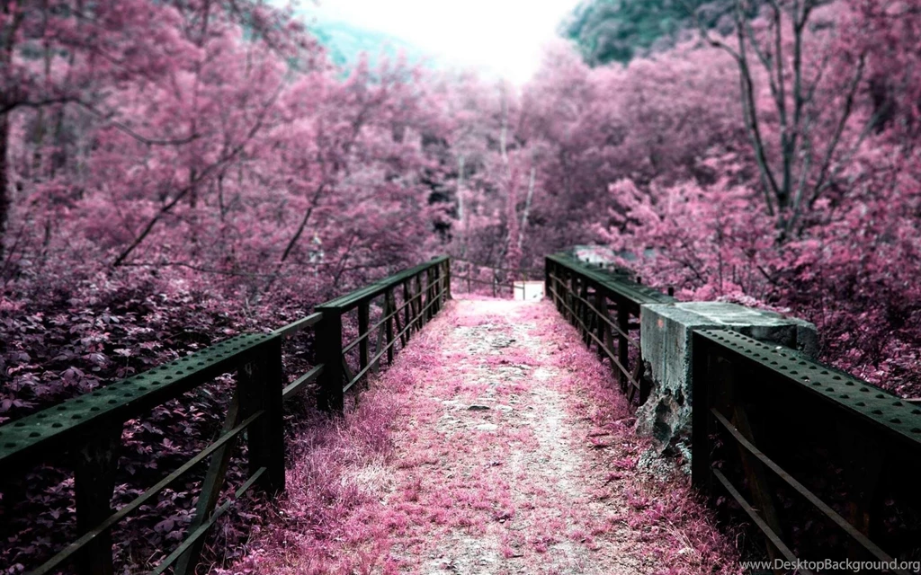 Landscape Wallpapers – Beautiful And Lush Landscape Wallpapers ...