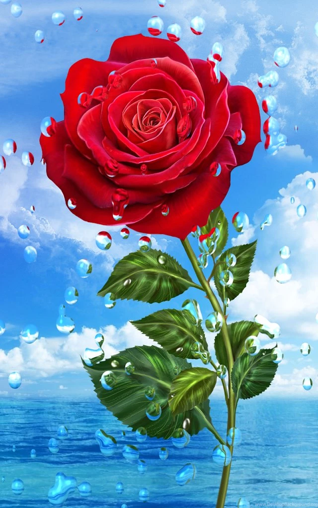 Download Summer Rain, Flowers, HD LWP For Android, Summer Rain ...