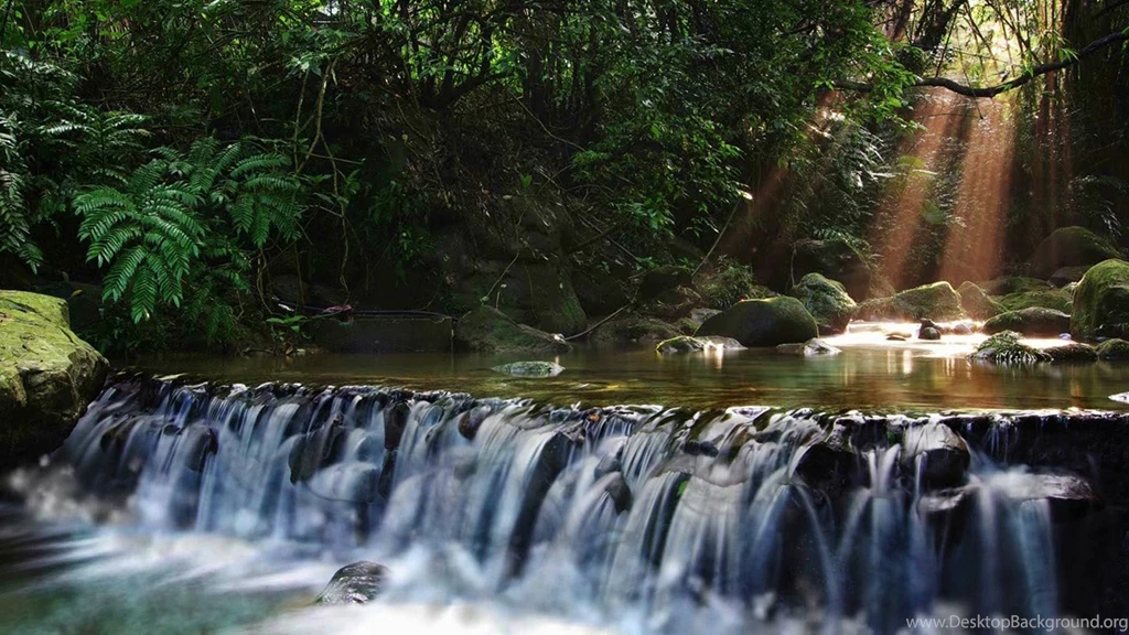 Wallpaper Paket: Die Besten Video Wallpapers Von Dreamscene ...