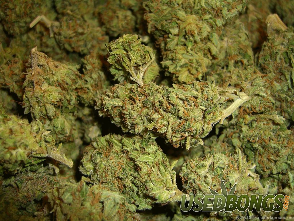 Weed Funny Marijuana