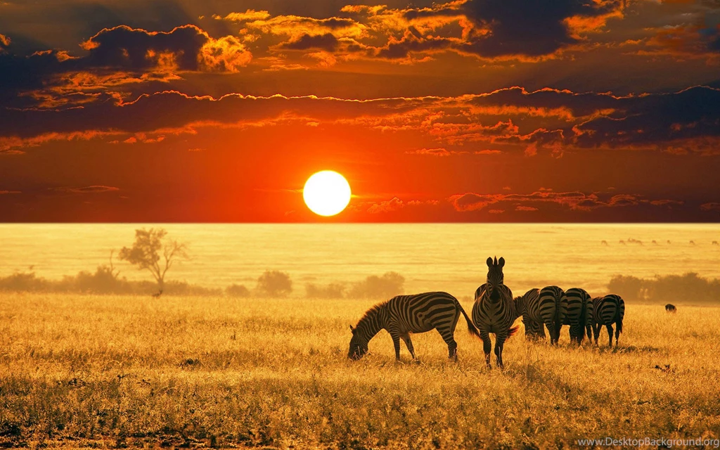 City Wallpapers   Timbena.com: Africa Sunset Images Wallpapers ...