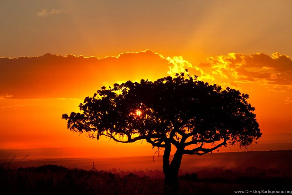 Beautiful African Landscape Sunset By Catman Suha