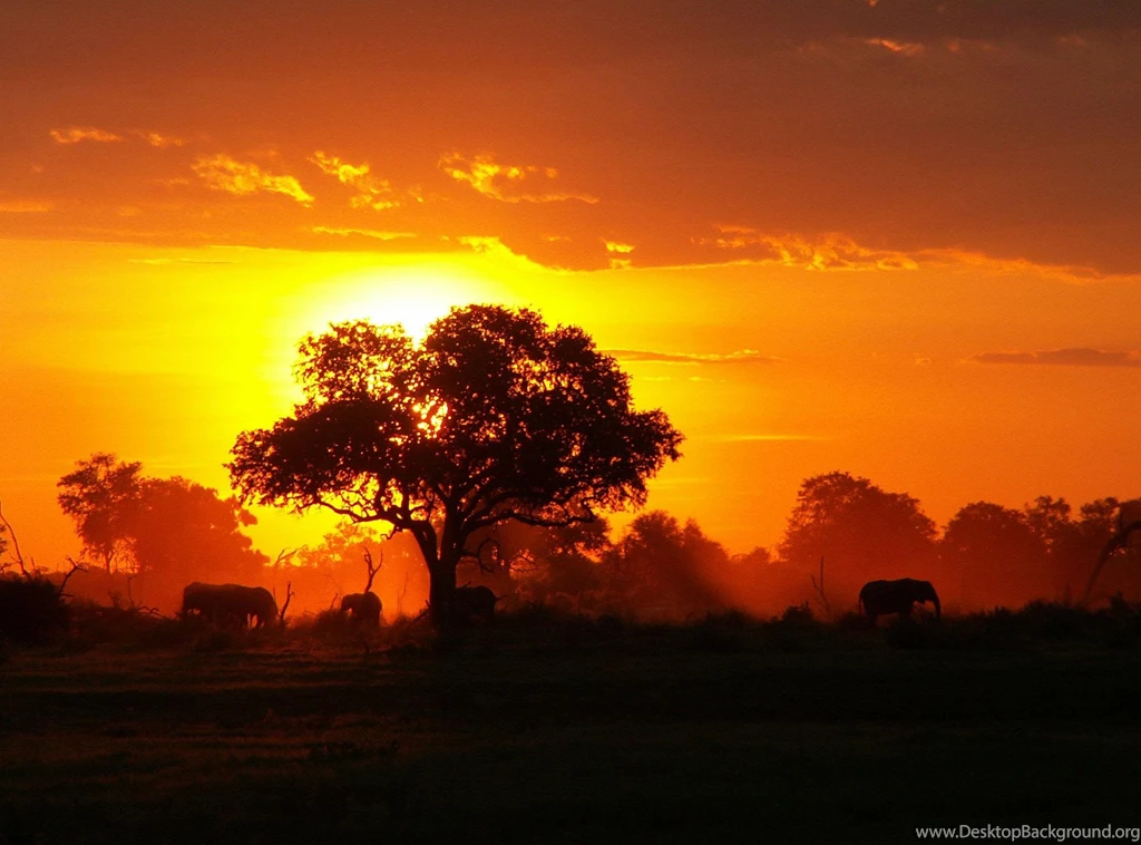 Beautiful African Sunset