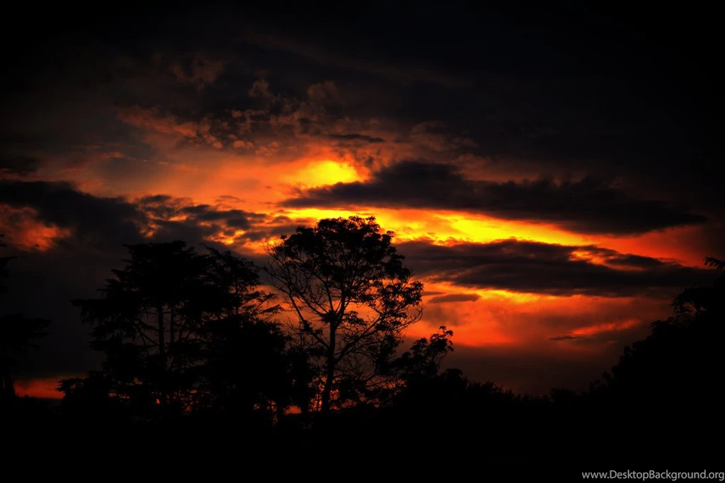 African Sunset By Robertsc 1095x730 IWallHD Wallpapers HD
