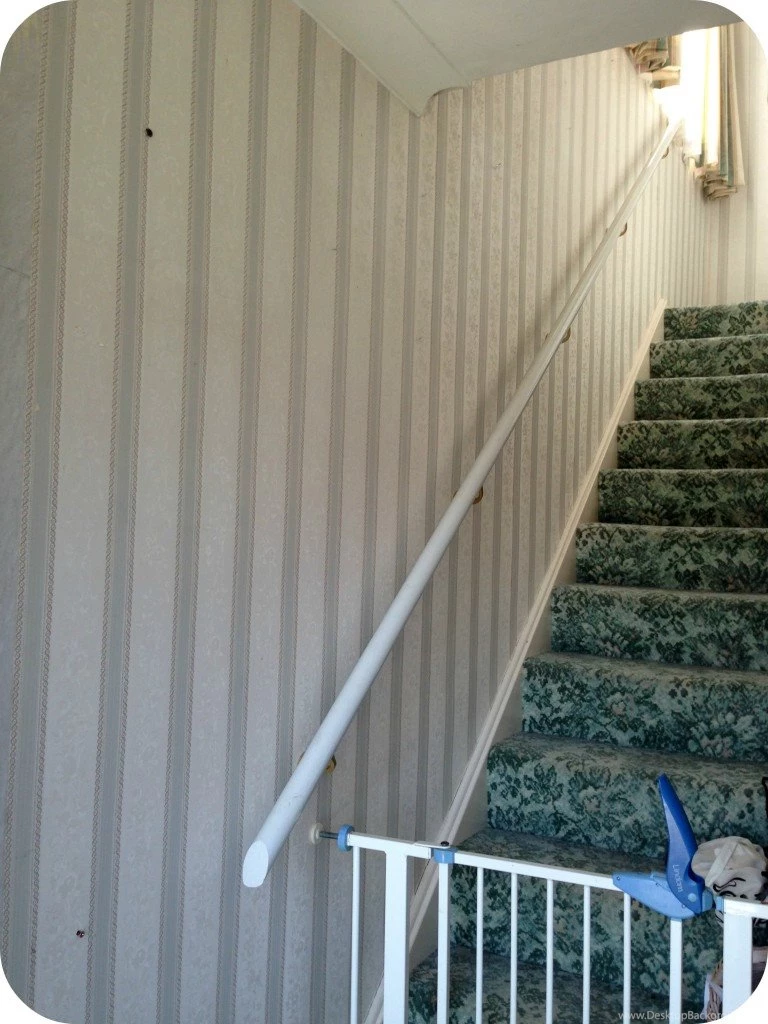 Superfresco Easy Paste The Wall Wallpapers   Renovation Bay Bee