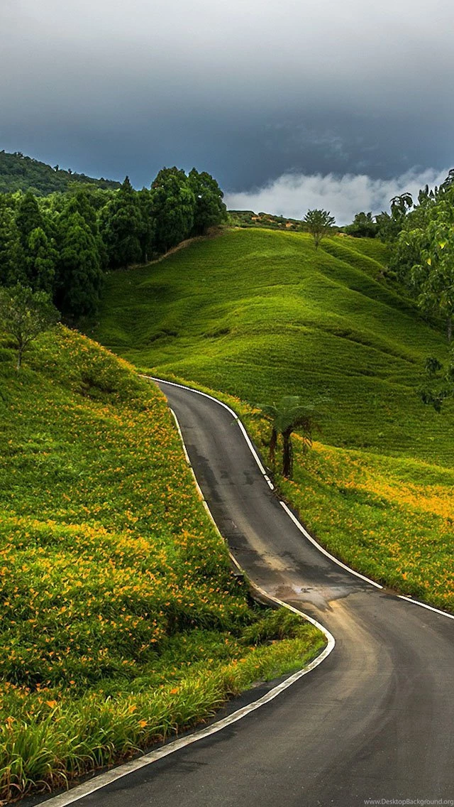 Mountain Road iPhone 5s Wallpapers Download