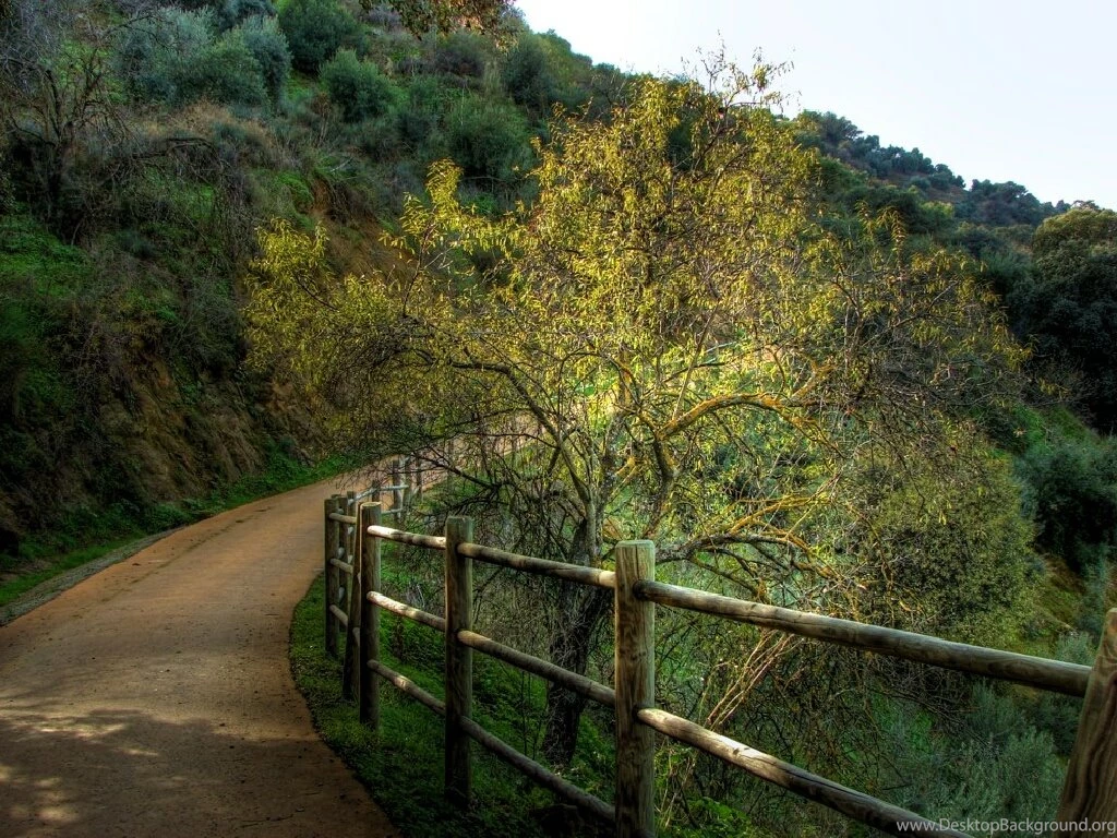 Top Moses And The Highway Wallpapers