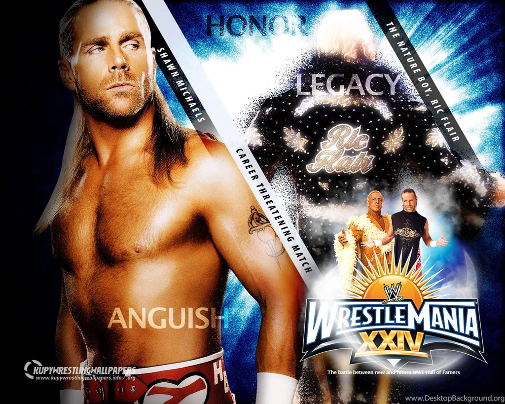 Shawn Michaels Wallpapers HD ~ WWE Superstars,WWE Wallpapers,WWE ...