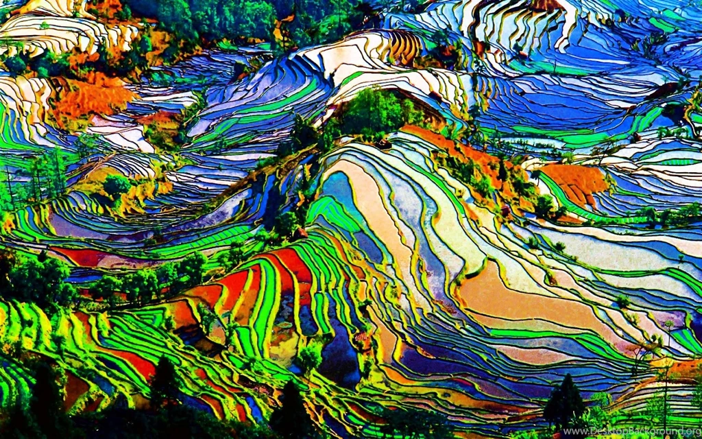 Trippy Wallpapers 1680x1050   (