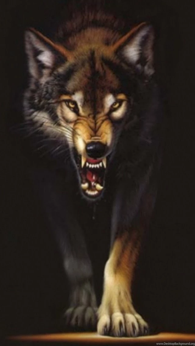Download Wolf Iphone Backgrounds