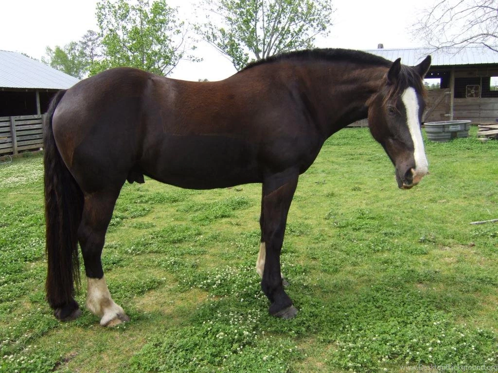 Admin – Page 7491 – BUZZERG