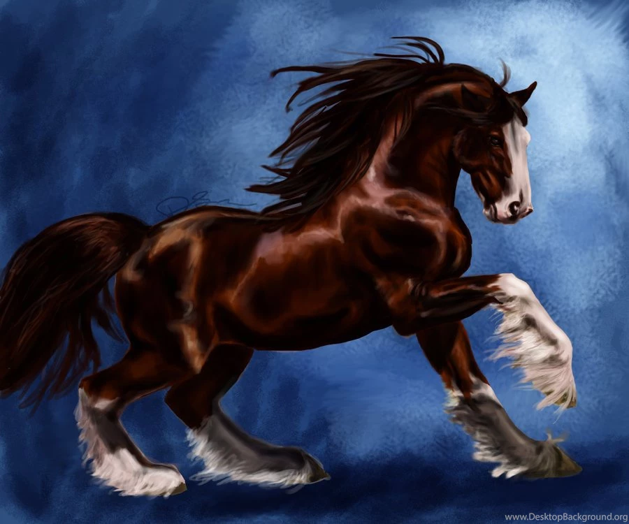 Clydesdale By Fnogis On DeviantArt