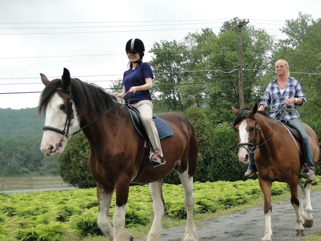 Clydesdale Trail Ride, Barn Tour And Horsing Around « Living ...
