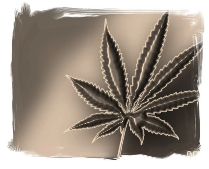 Hemp Leaf Black \'n\' White Wallpapers Photo By Vicious Burger ...