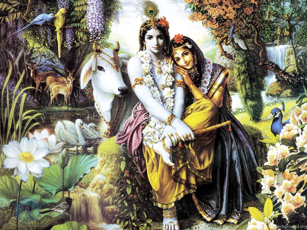 Sri Sri Radha Krishna Special Darshan   Radha Gopinath Wallpapers