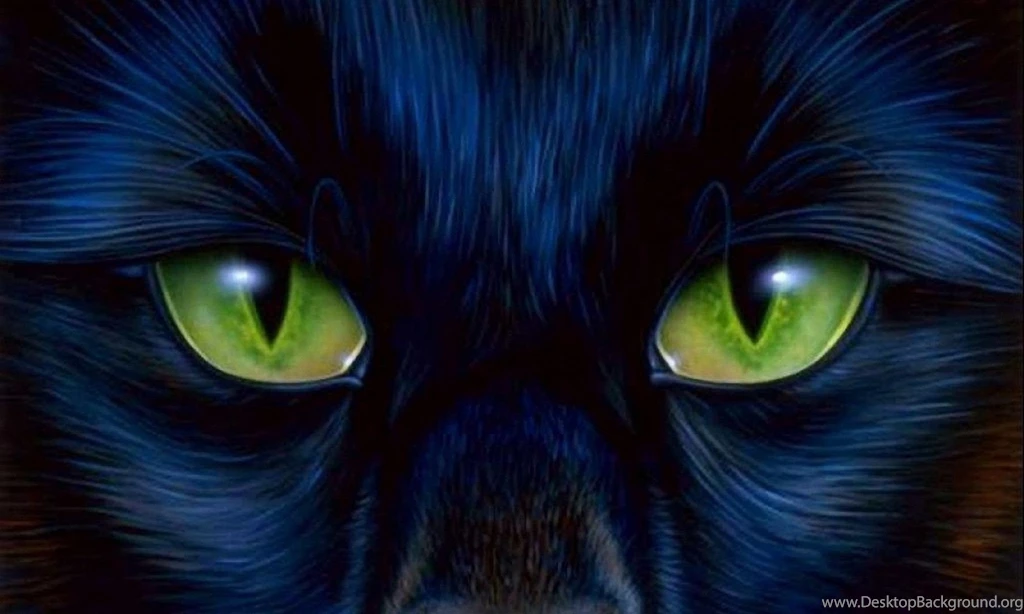 Cool Desktop Wallpapers   Wallpapers Cave