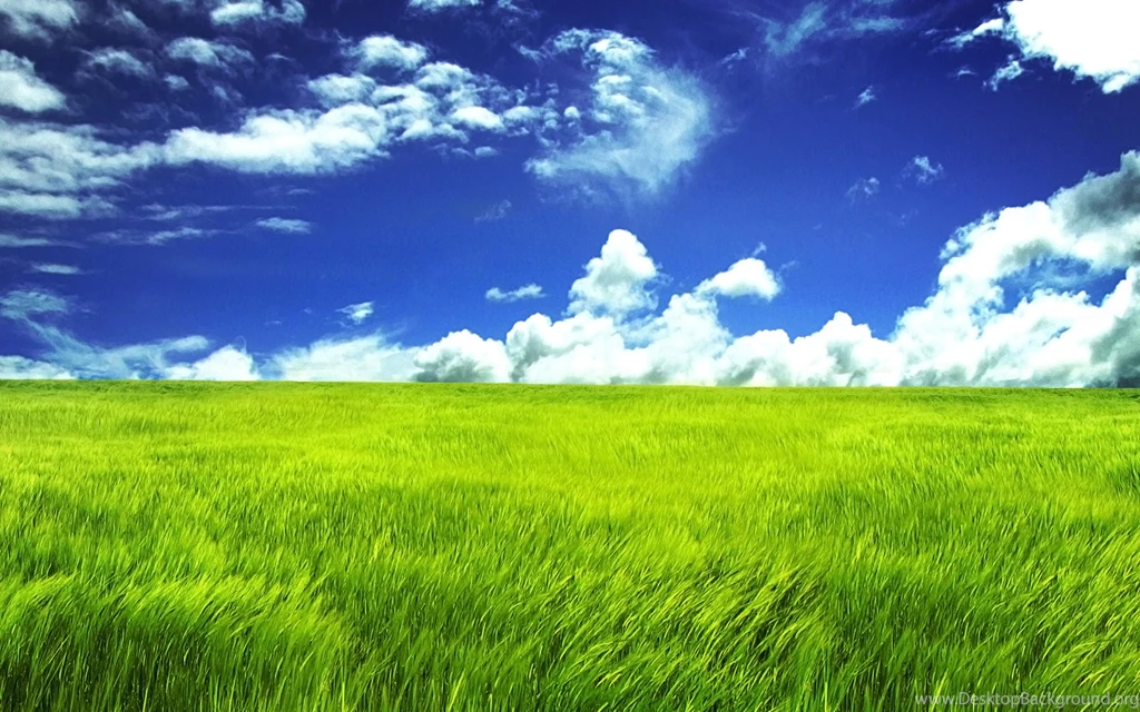 Green Grassland Cool Wallpapers For Desktop Backgrounds ...