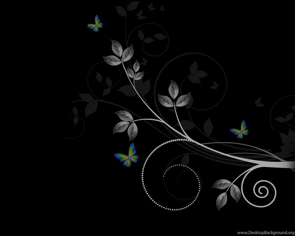 1388) Black Butterfly Photo Wallpapers WalOps.com