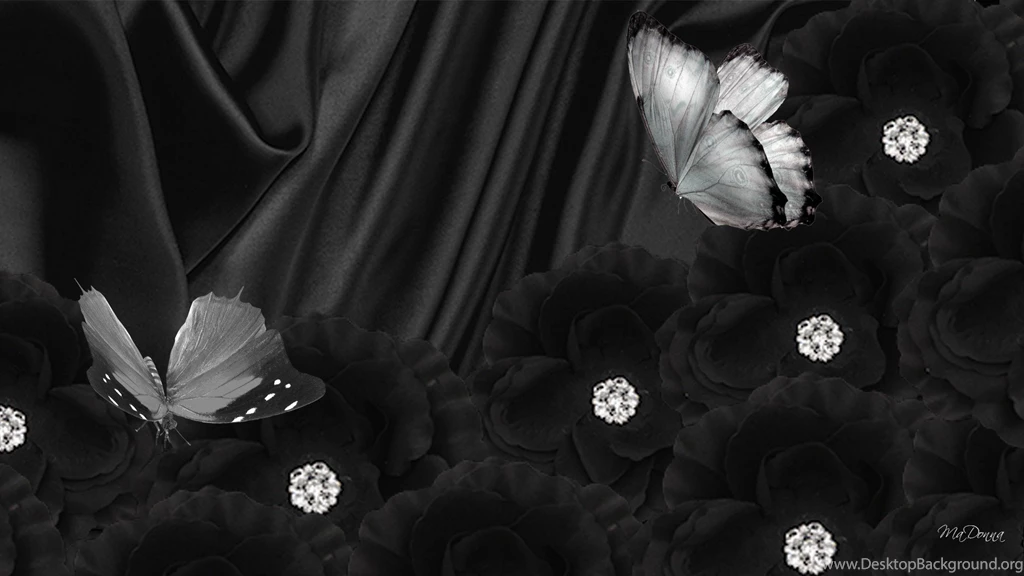 1385) Black Butterfly Picture Wallpapers WalOps.com