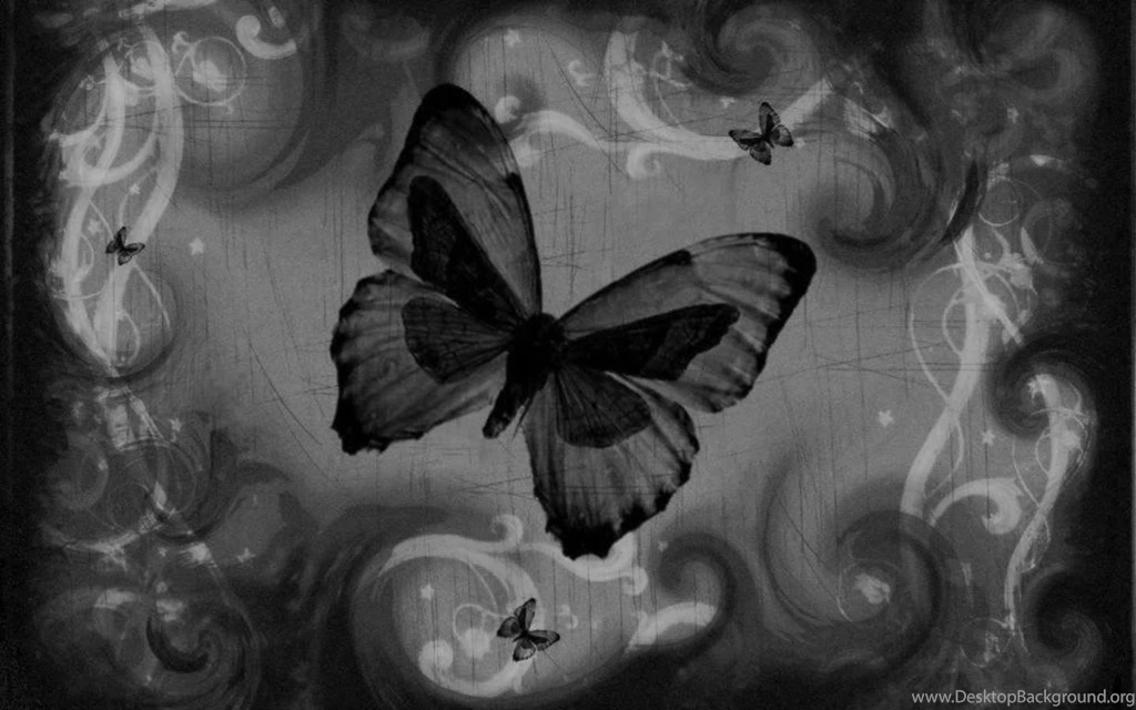 1391) Black Butterfly Images Wallpapers   WalOps.com