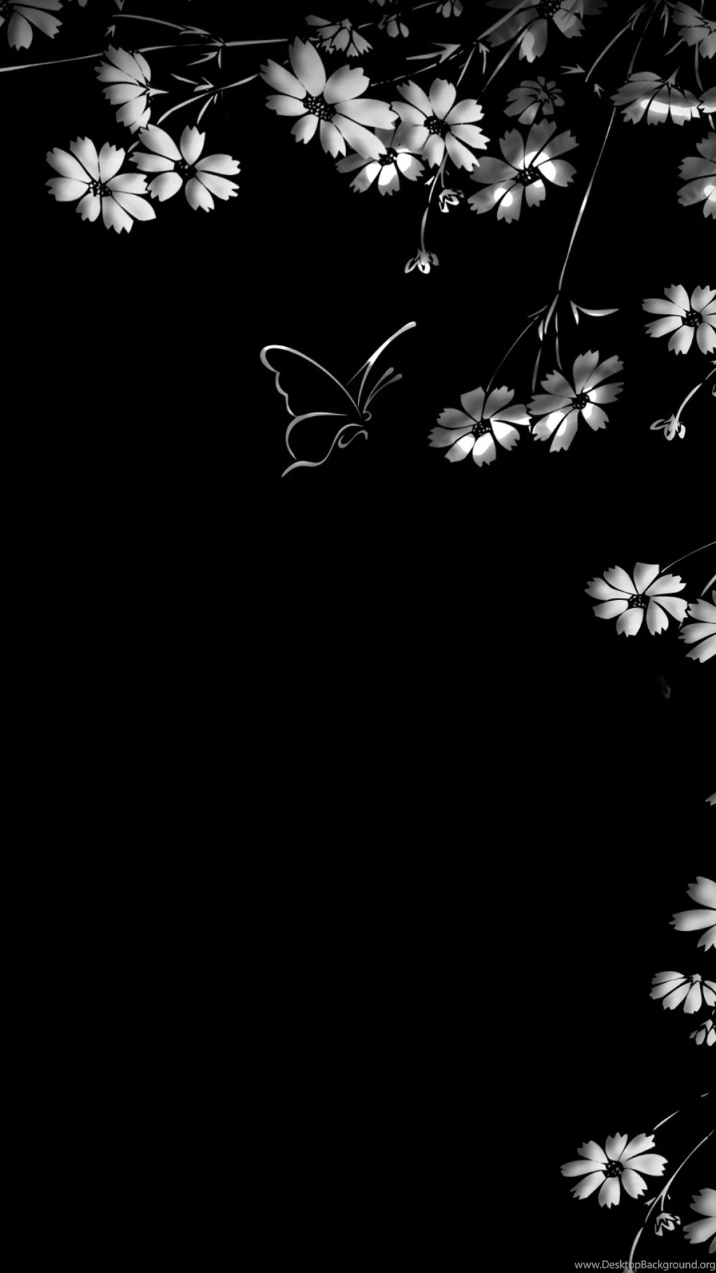 Download Wallpapers 1080x1920 Butterfly, Flower, Black Backgrounds ...