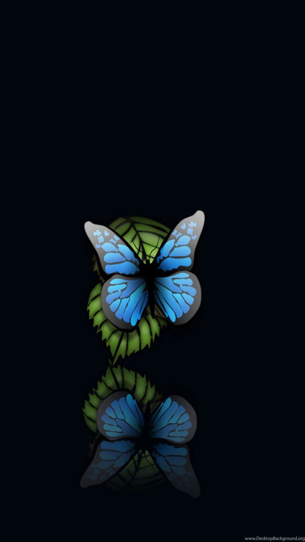Blue Butterfly Black Backgrounds Android Wallpapers Free Download