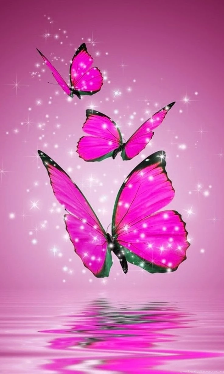 Pink And Black Butterfly Wallpapers