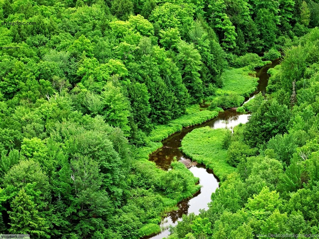 Awesome World Beauty Nature Inspirations ~ Artwood: Art Of ...