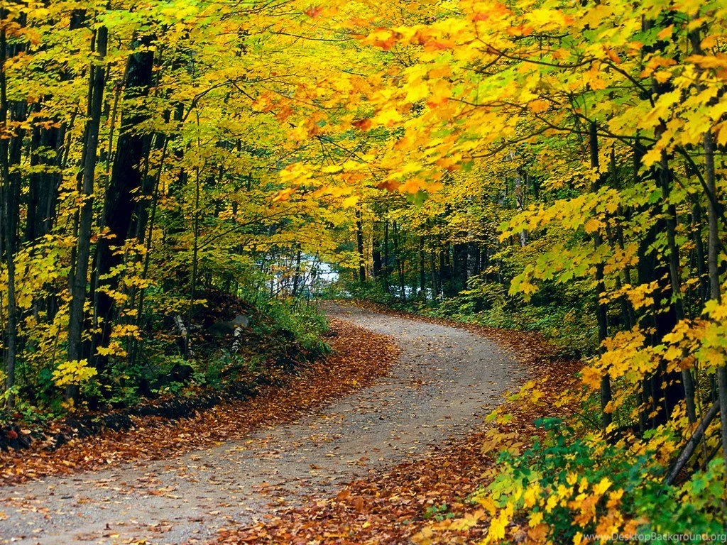 Top 35 Beautiful And Fabulous Paths Wallpapers In HD
