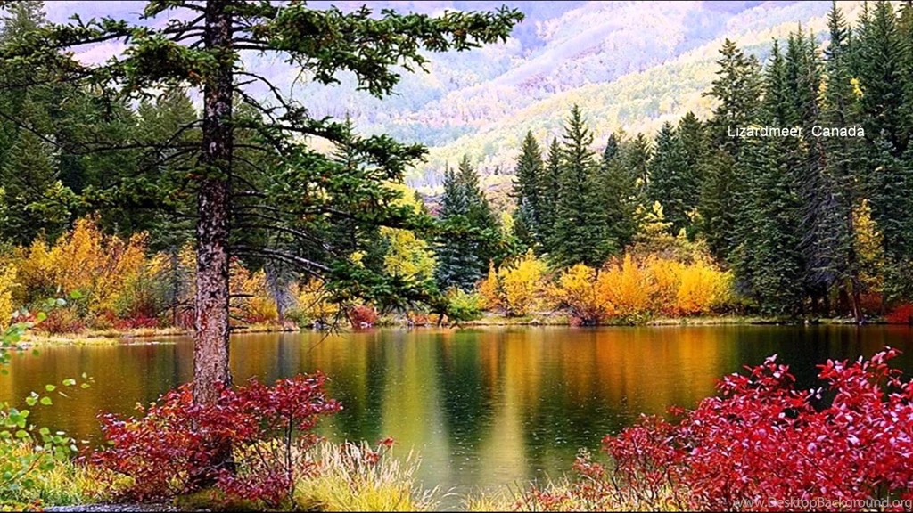 Most Beautiful Pictures Of Nature In The World Wallpapers Picture ...