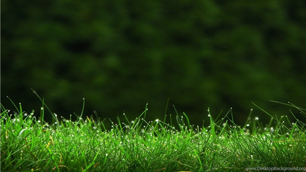 Wallpapers Enjoy Our Website Hd Services At Www Pics Efreez Com ...