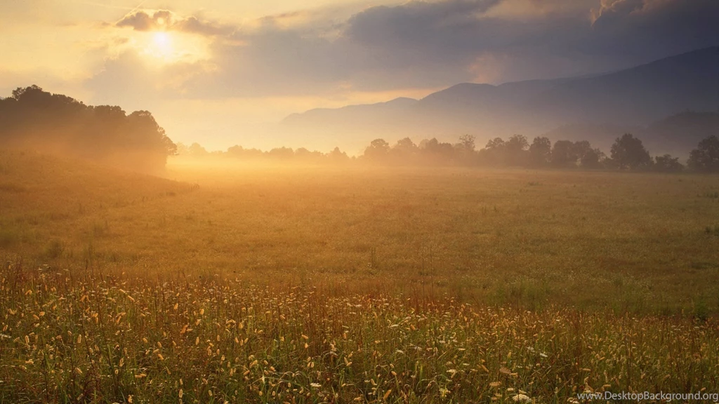 HD Nature Wallpapers 10 – HdCoolWallpapers.Com