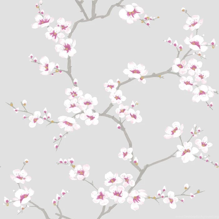 Graham & Brown Fresco Apple Blossom Wallpapers 51 057 Grey/Pink ...