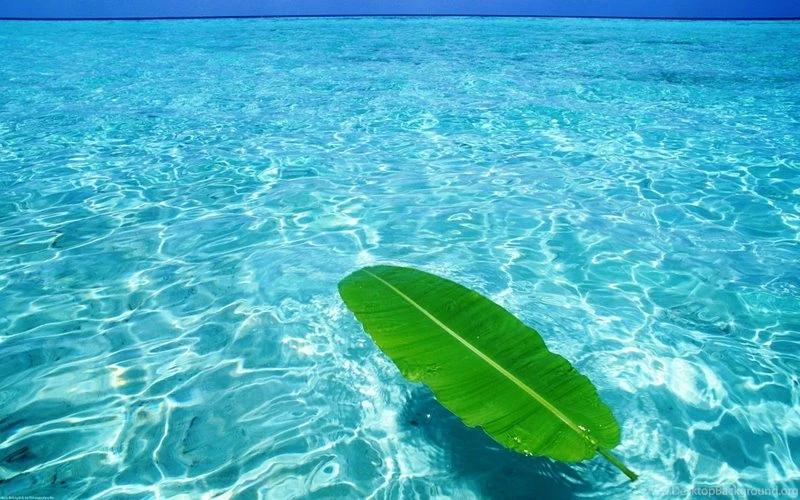 Ocean Blue Wallpapers