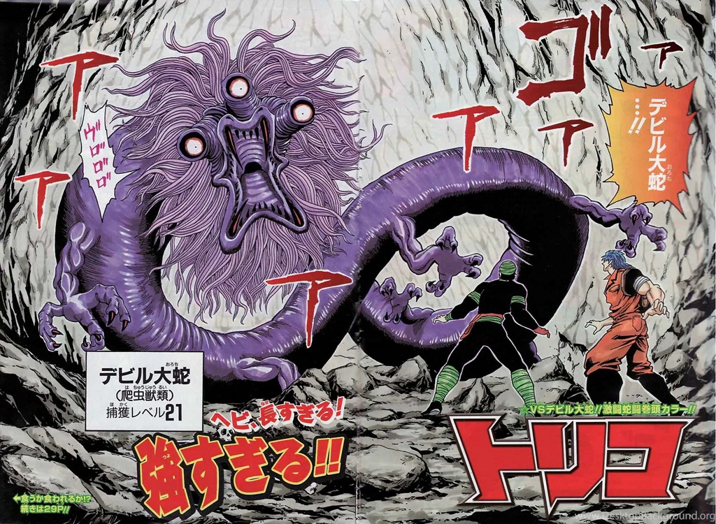 6 Toriko HD Wallpapers