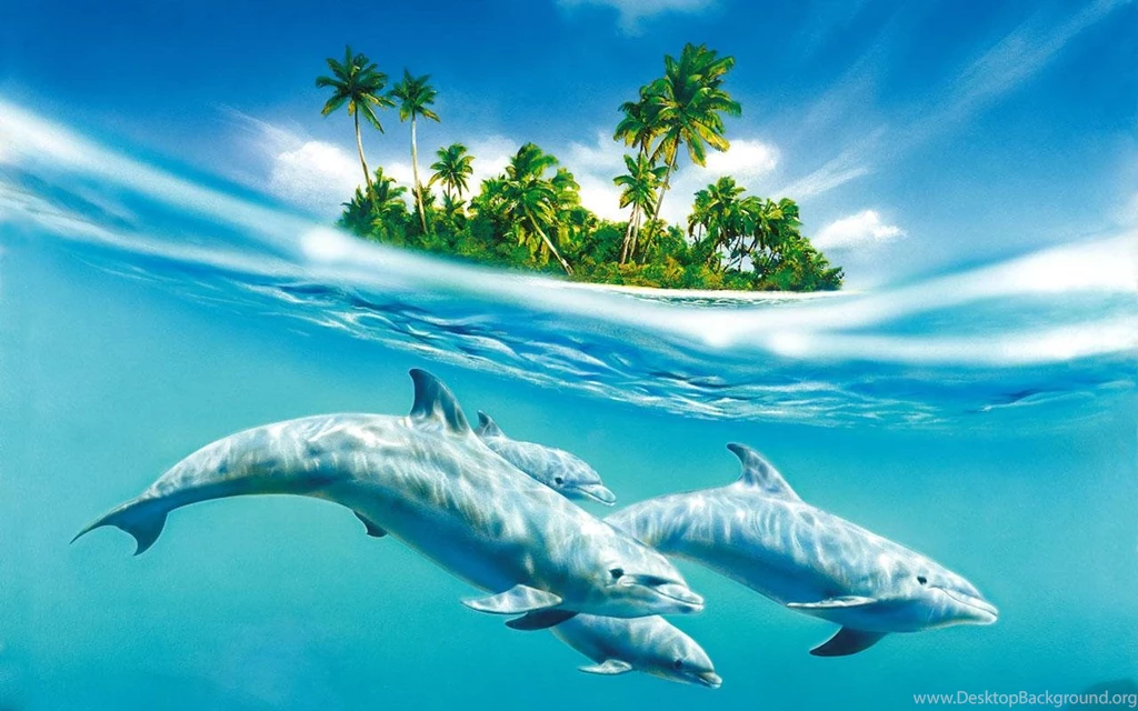 Dolphin Live Wallpapers Android Apps On Google Play
