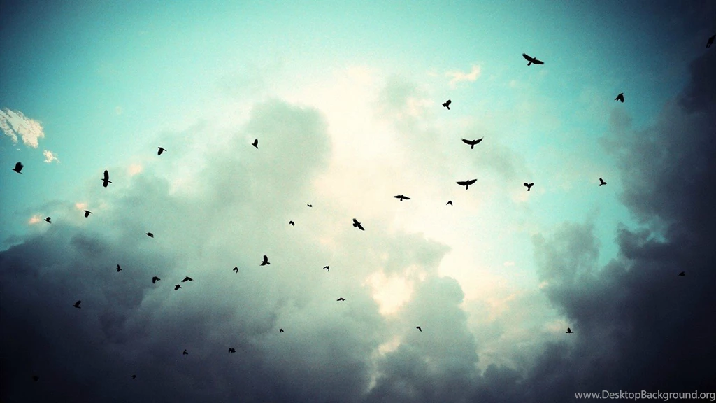 Tumblr Backgrounds 1280x720