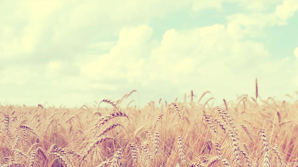 Wallpapers Hd Tumblr Collection (24+)