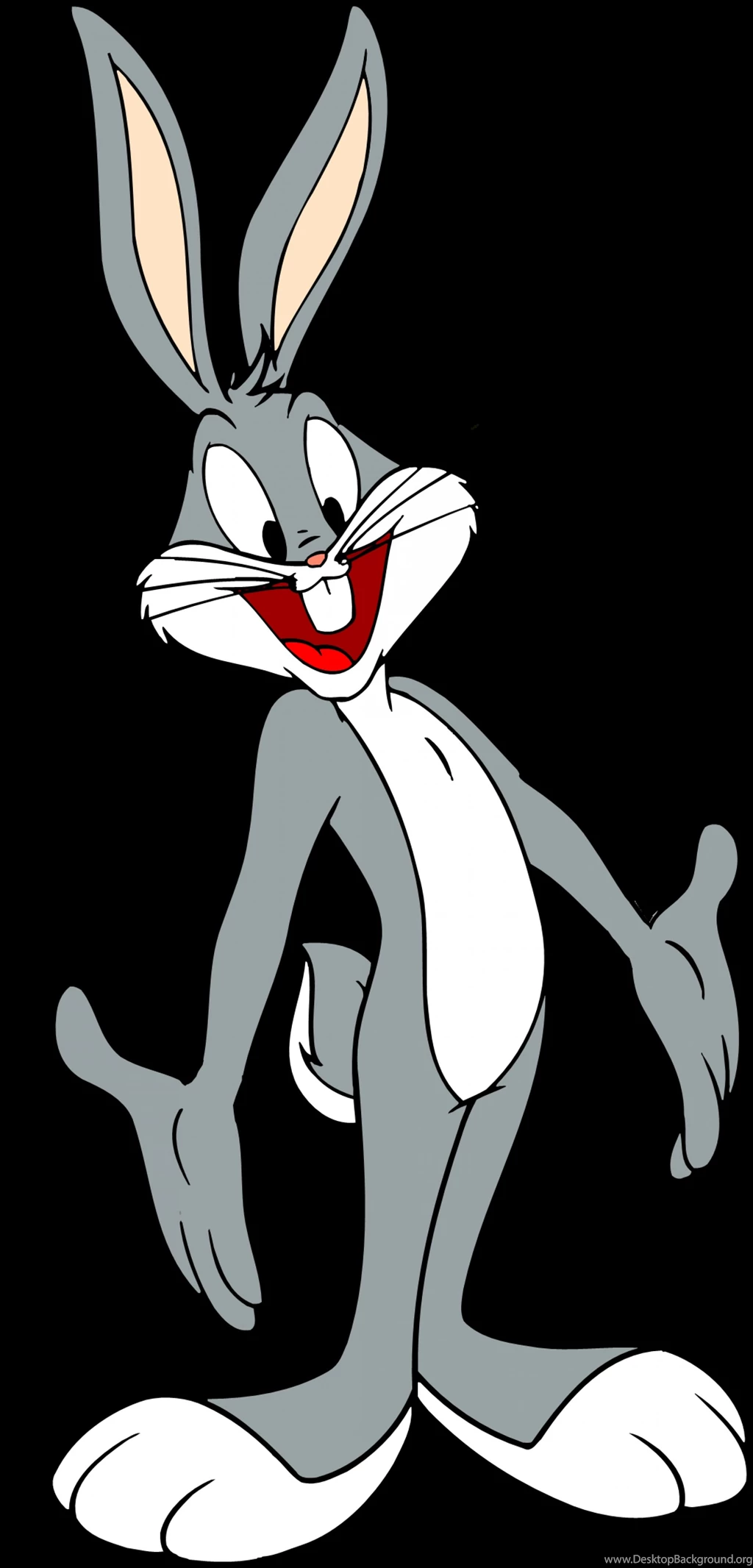 HD Bugs Bunny Wallpapers And Photos