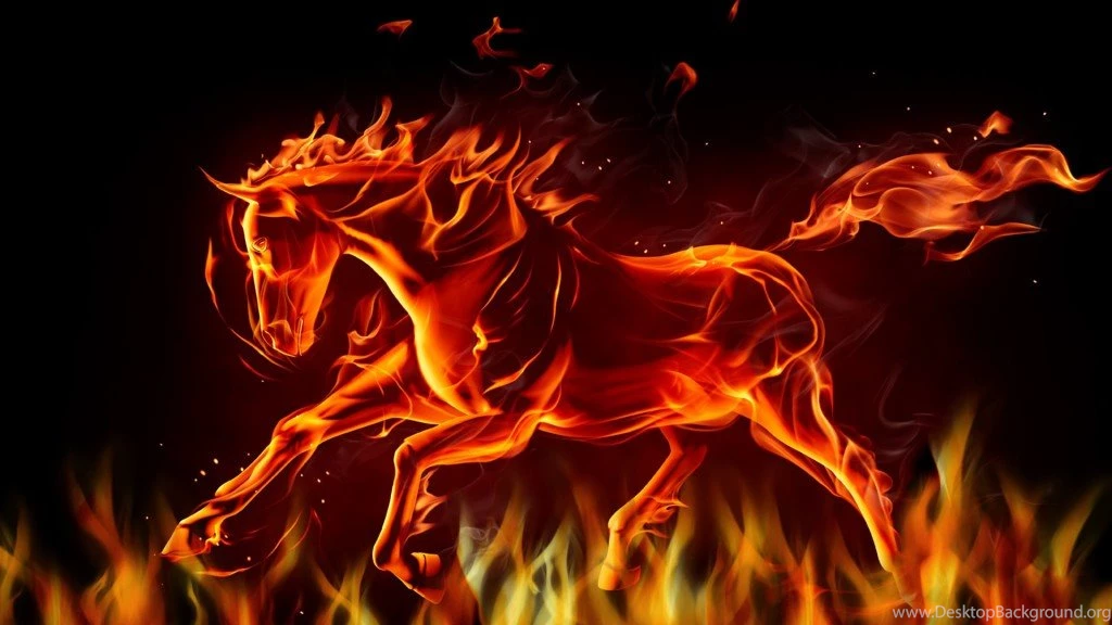 55 Most Dashing HD Horse Wallpapers Over The Top Mag