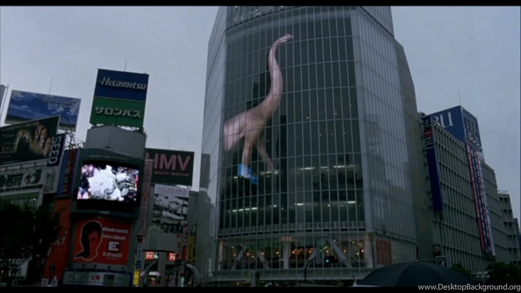 Cinematography: Lost In Translation (2003)