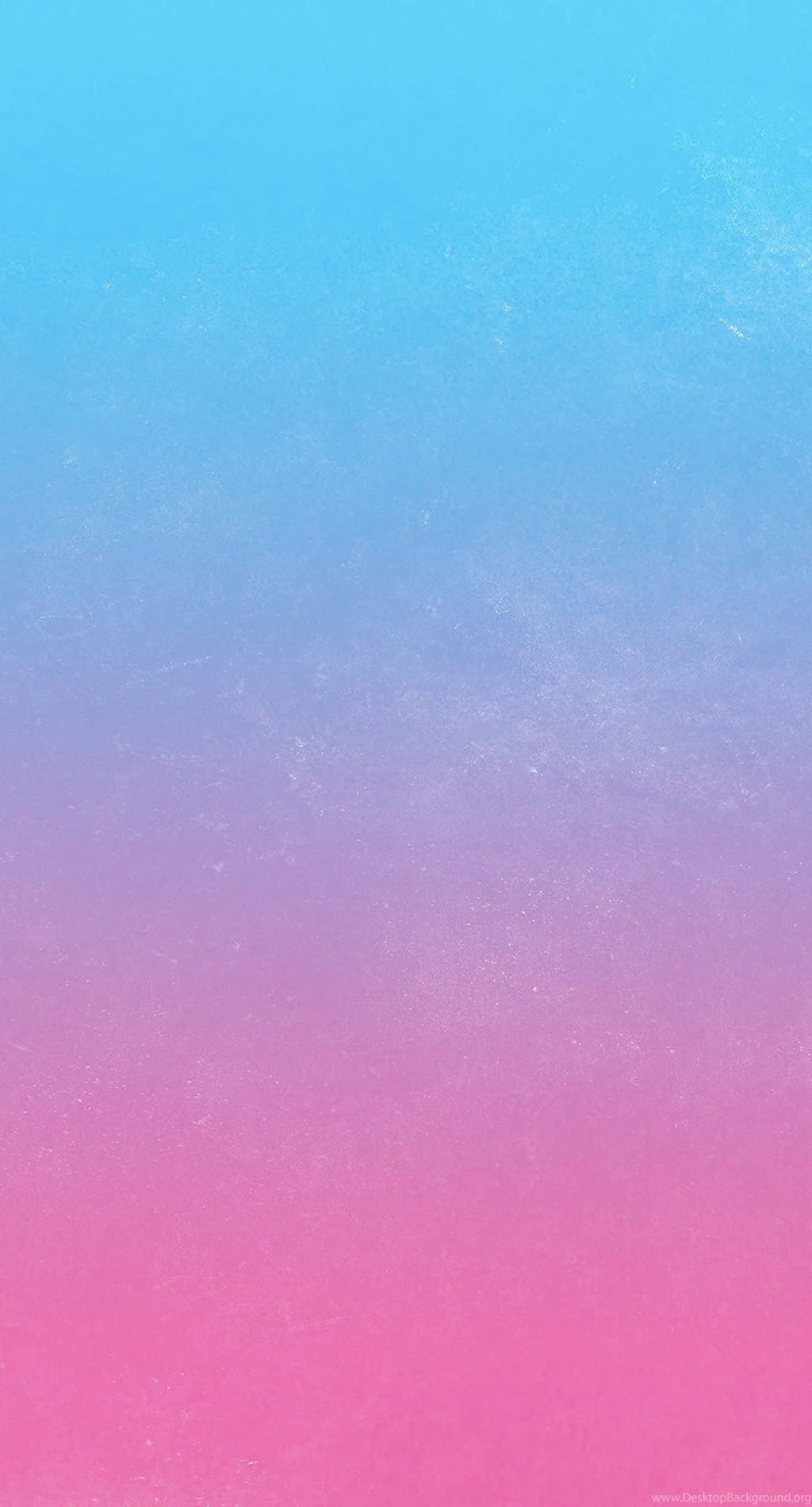 Pattern Pink Blue